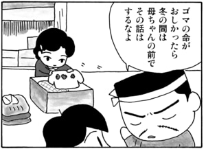 【無料漫画】毎日配信！少年アシベ（22）「恋の季節」森下裕美／キュートなゴマフアザラシの“ゴマちゃん”をめぐる名作ギャグ4コマ 33