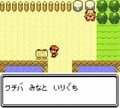 ゲームボーイカラー『ポケットモンスター金・銀』クリア後のおまけがすごい…『赤・緑』プレイヤーを感動させた4つの進化ポイントの画像004