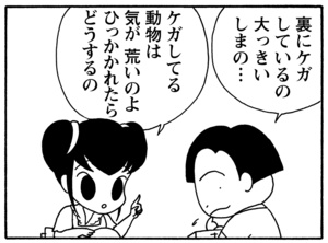 【無料漫画】毎日配信！少年アシベ（85）「イエティのペンダント」森下裕美／キュートなゴマフアザラシの“ゴマちゃん”をめぐる名作ギャグ4コマ 23