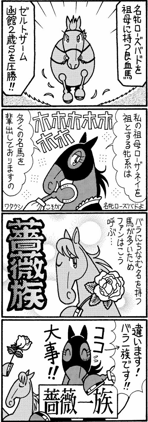 名牝ローズバドを祖母に持つ良血馬　ゼルドザーム函館２歳Ｓを圧勝