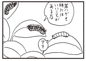 若ハゲも時にはいいことがあるな アア