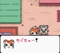 任天堂ゲームボーイ時代の神キャラゲー『とっとこハム太郎２ ハムちゃんず大集合でちゅ』21周年で振り返る「ハム語」のかわいさの画像007