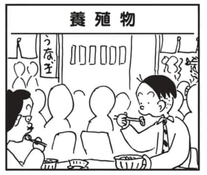 【無料漫画】かりあげクン(1595回)毎日配信!「養殖物」「麦わら帽子」養殖と天然の違いはうなぎだけではなく…/植田まさし 1