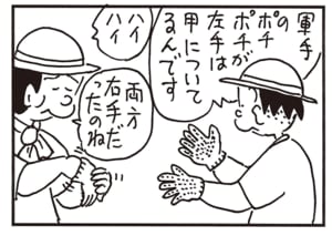 軍手のポチポチが左手は甲についてるんです　ハイハイ　両方右手だったのね