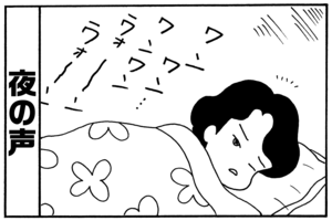 夜の声