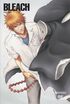 原作派は知らない？ 思わぬ共闘に名勝負も…『BLEACH』アニオリ「バウント篇」珠玉の名エピソード