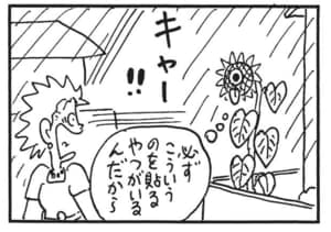 【無料漫画】かりあげクン(1619回)毎日配信!「ひまわり」「ハンカチ」皆に愛されるひまわりに起こった異変/植田まさし 4