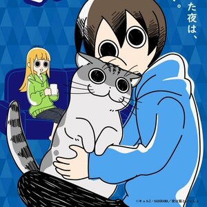 ©キュルZ・KADOKAWA／夜は猫といっしょ