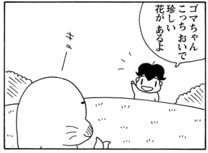 【無料漫画】毎日配信！少年アシベ（47）「春のボクら」森下裕美／キュートなゴマフアザラシの“ゴマちゃん”をめぐる名作ギャグ4コマ 19