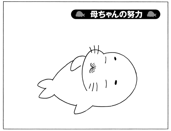 母ちゃんの努力