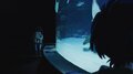 「幾原邦彦監督が『“映画”であること』にこだわった作品」劇場版『RE:cycle of the PENGUINDRUM』BD発売記念・池田慎一プロデューサーインタビューの画像001