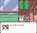 任天堂ゲームボーイ時代の神キャラゲー『とっとこハム太郎２ ハムちゃんず大集合でちゅ』21周年で振り返る「ハム語」のかわいさの画像005