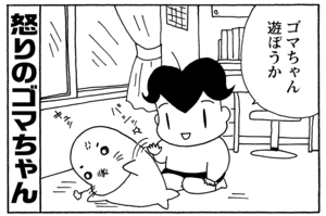 ゴマちゃん遊ぼうか