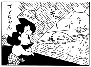 【無料漫画】毎日配信！少年アシベ（94）「ゴマちゃんの災難」森下裕美／キュートなゴマフアザラシの“ゴマちゃん”をめぐる名作ギャグ4コマ 27