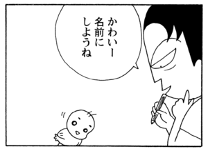【無料漫画】毎日配信！少年アシベ（197）1人だけ静かなワケは…「私だけ知らない」キュートな“ゴマちゃん”をめぐる名作4コマ／森下裕美 11
