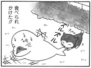 【無料漫画】毎日配信！少年アシベ（22）「恋の季節」森下裕美／キュートなゴマフアザラシの“ゴマちゃん”をめぐる名作ギャグ4コマ 5