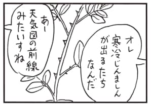オレ寒冷じんましんが出るたちなんだ　あー天気図の前線みたいすね
