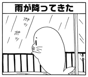 雨が降ってきた