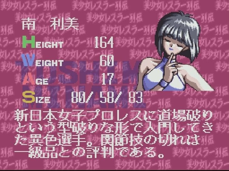 『レッスルエンジェルス』ファン愕然!? スーパーファミコン末期の傑作『美少女レスラー列伝』が埋もれてしまったワケの画像002
